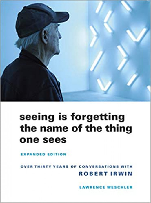Seeing is Forgetting 
